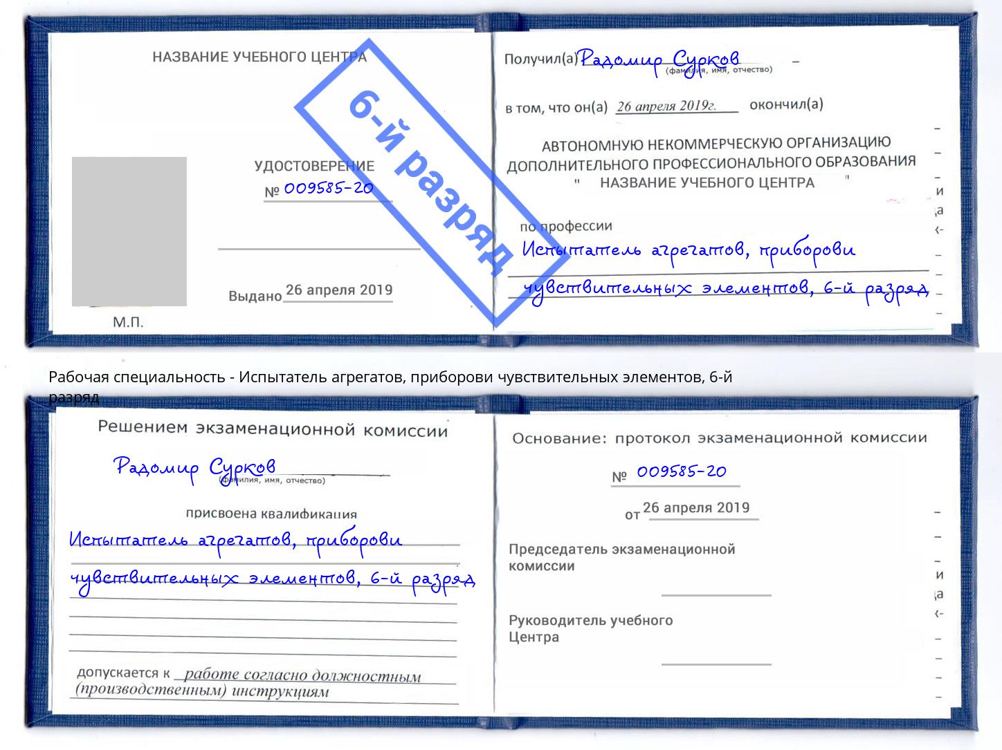 корочка 6-й разряд Испытатель агрегатов, приборови чувствительных элементов Назрань