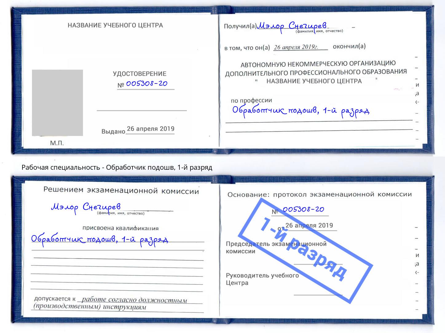 корочка 1-й разряд Обработчик подошв Назрань