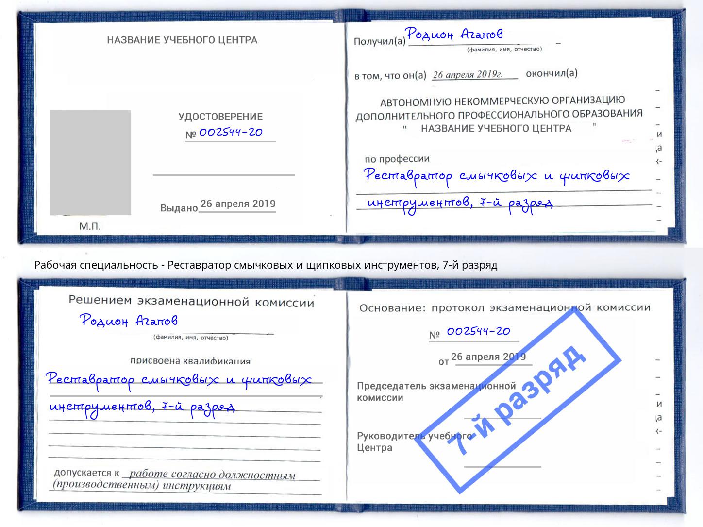 корочка 7-й разряд Реставратор смычковых и щипковых инструментов Назрань